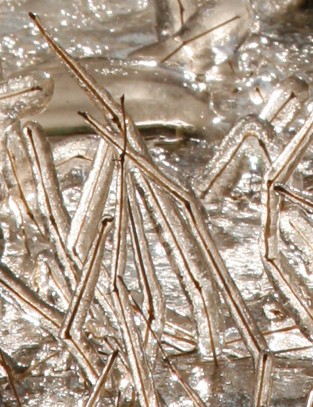 cold_d_02